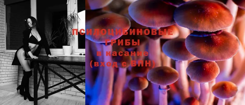 Псилоцибиновые грибы Cubensis  Опочка 